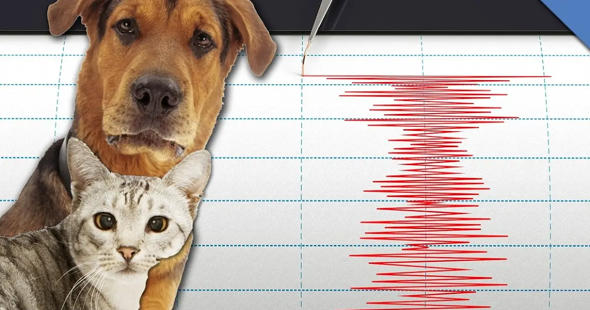 تاريخ محاولات التنبؤ بالزلازل عبر رصد سلوك الحيوانات