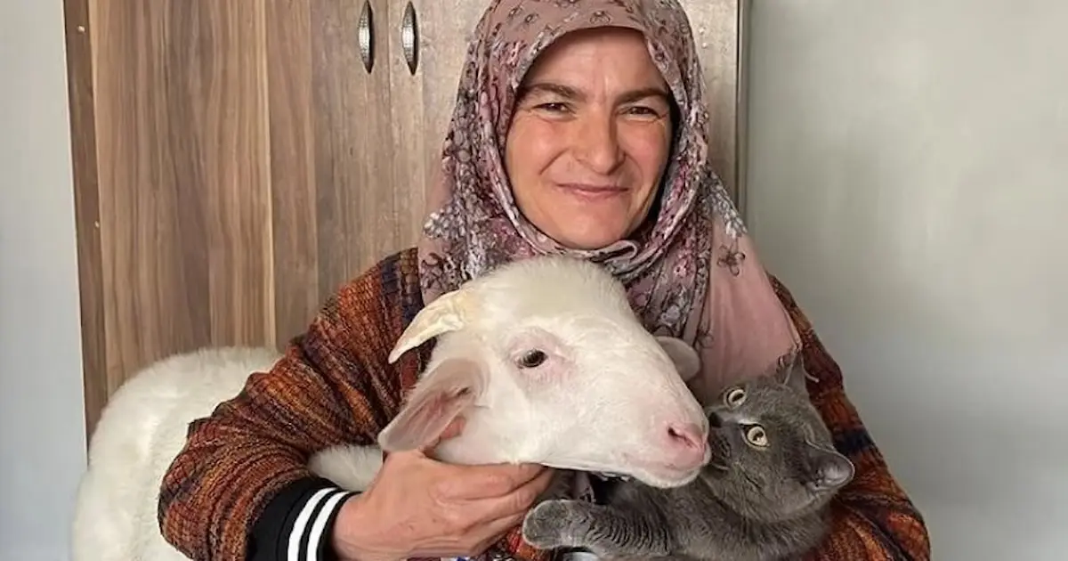 مظاهر غير تقليدية ترافق جولة الإعادة في الانتخابات الرئاسية التركية