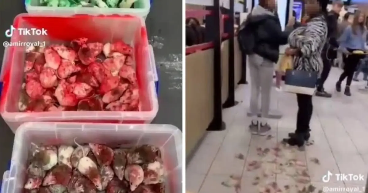 احتجاج غير تقليدي داخل مطعم للوجبات السريعة في إسطنبول