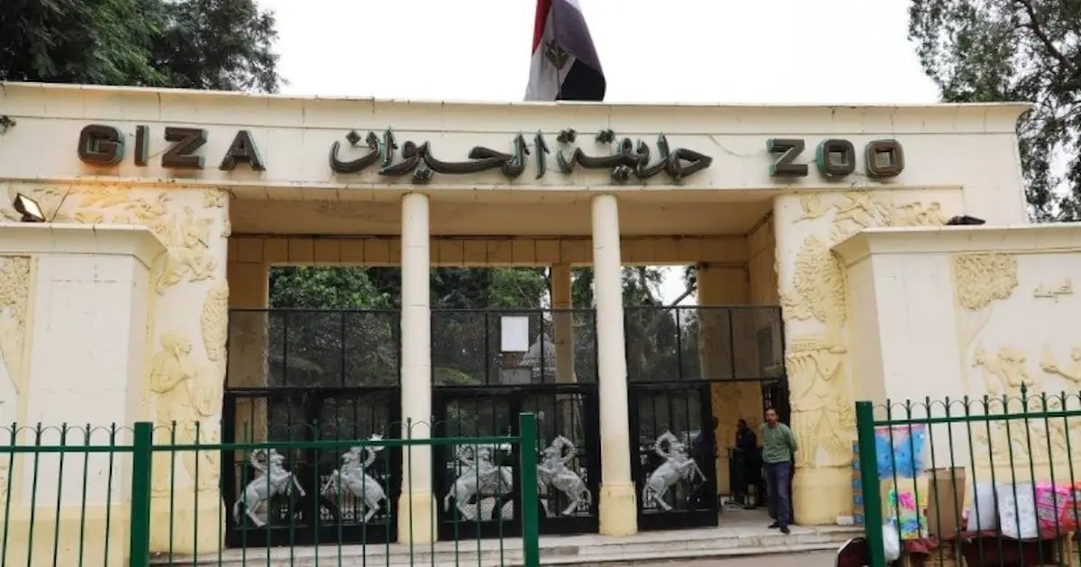 مشاريع تطوير حديقة حيوان الجيزة تثير تساؤلات المواطنين