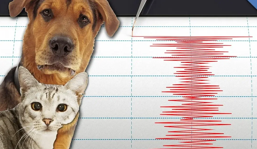 تاريخ محاولات التنبؤ بالزلازل عبر رصد سلوك الحيوانات