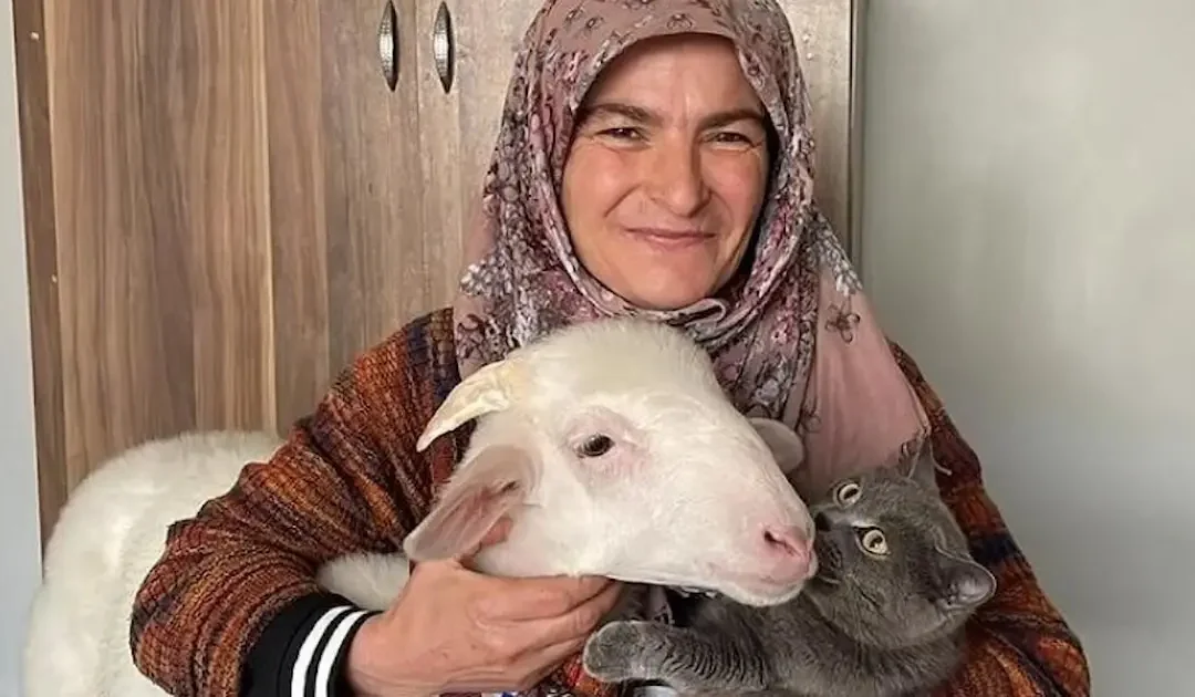 مظاهر غير تقليدية ترافق جولة الإعادة في الانتخابات الرئاسية التركية