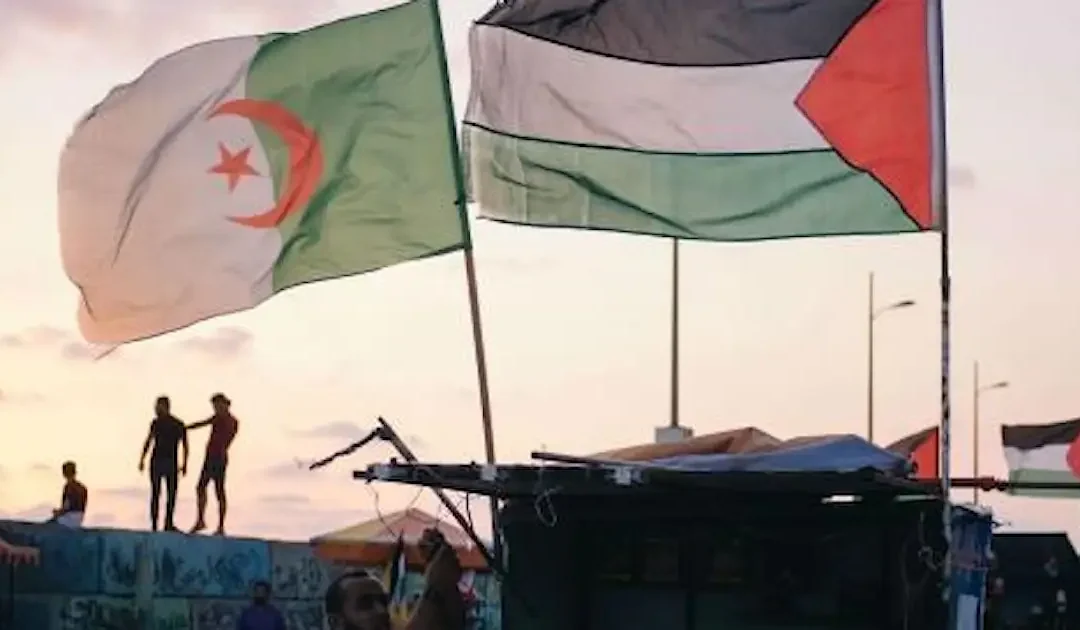 توسع نطاق مقاطعة المنتجات الأجنبية في الجزائر دعماً لفلسطين