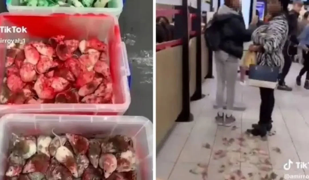 احتجاج غير تقليدي داخل مطعم للوجبات السريعة في إسطنبول